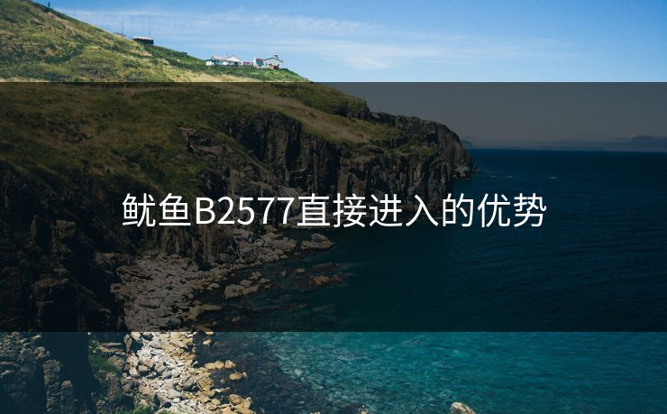 鱿鱼B2577直接进入的优势