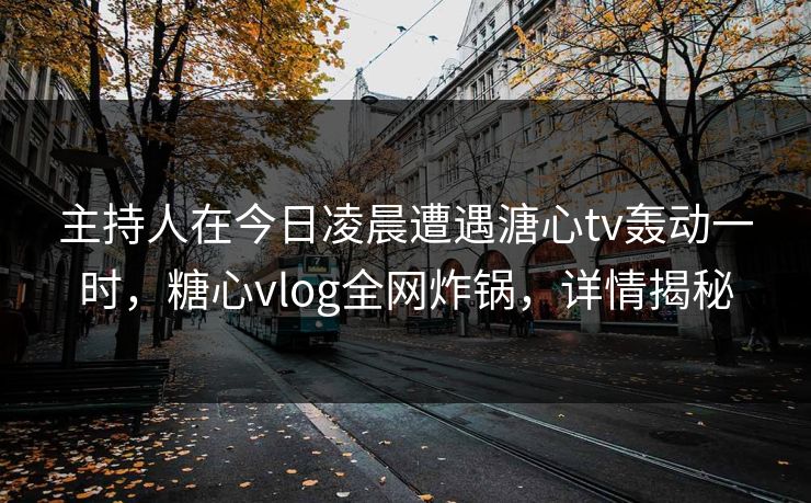 主持人在今日凌晨遭遇溏心tv轰动一时，糖心vlog全网炸锅，详情揭秘